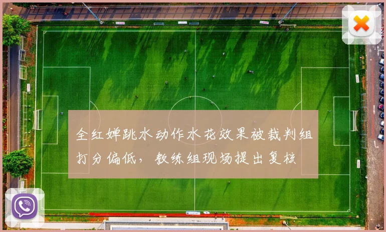 全红婵跳水动作水花效果被裁判组打分偏低，教练组现场提出复核